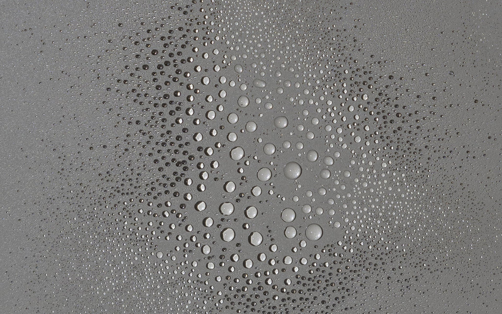 Spirulina Tonic Clarifying Face Mist