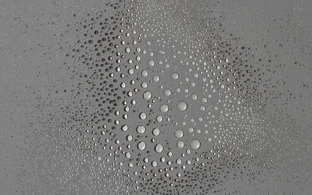 Spirulina Tonic Clarifying Face Mist