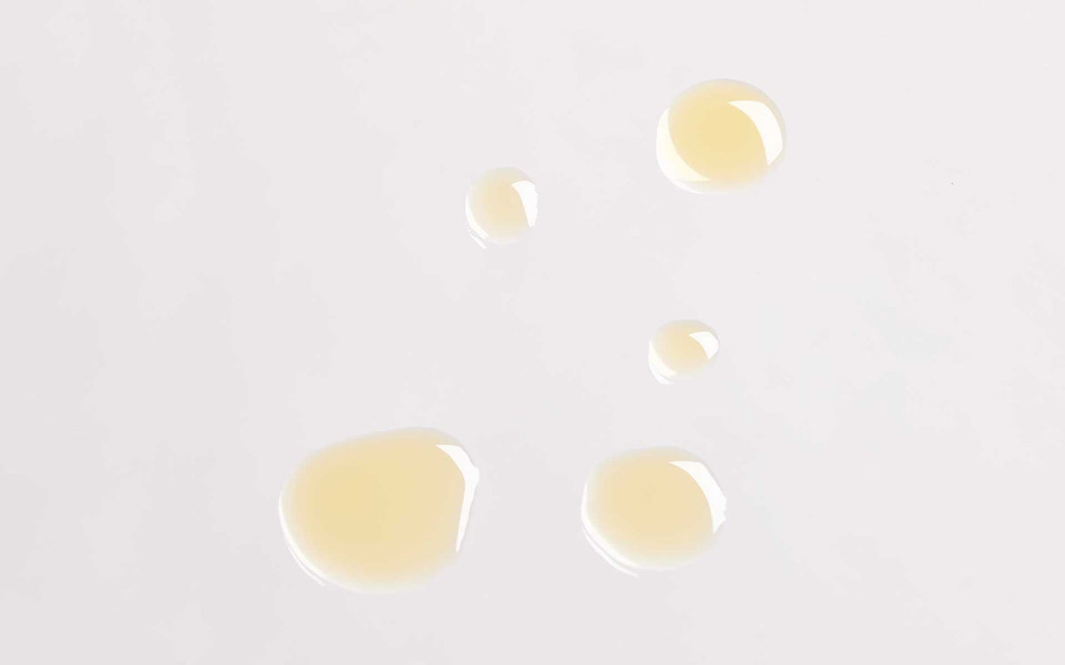 Prickly Pear + Schisandra Youth Concentrate